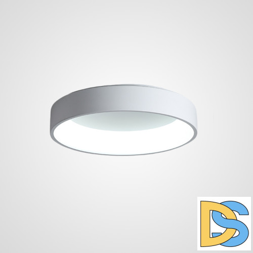 Потолочный светильник ImperiumLoft Tray 181884-26