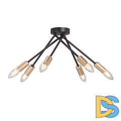 Потолочная люстра Vitaluce V3021-1/6PL