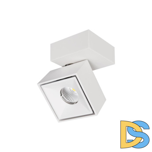 Спот Citilux CL558020N