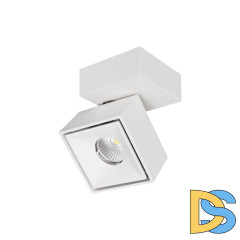 Спот Citilux CL558020N