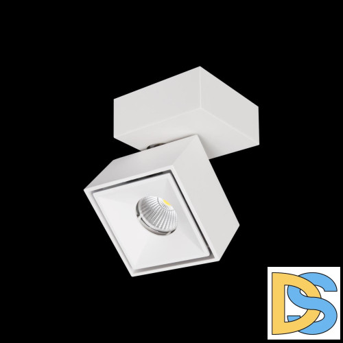 Спот Citilux CL558020N