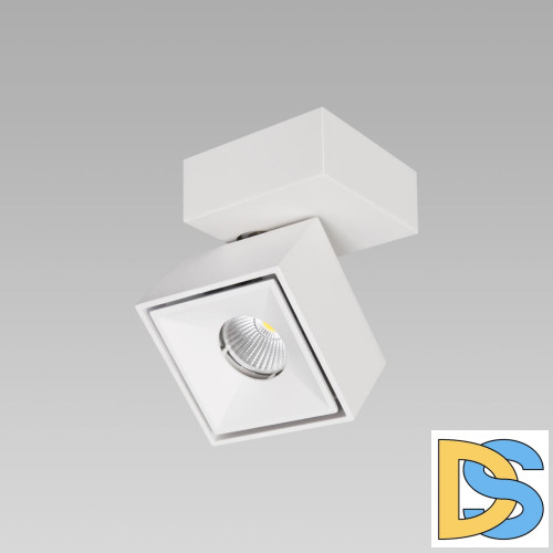 Спот Citilux CL558020N