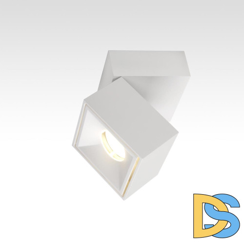 Спот Citilux CL558020N