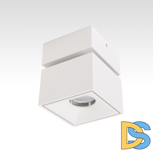 Спот Citilux CL558020N