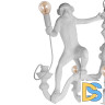 Подвесная люстра Loft IT Monkey 10314 White