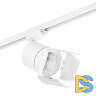 Трековый светильник Lightstar Canno LED (301262+202996) C126296
