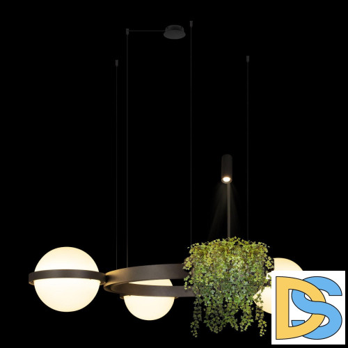 Подвесная люстра Loft IT Jardin 10121/3 Dark grey