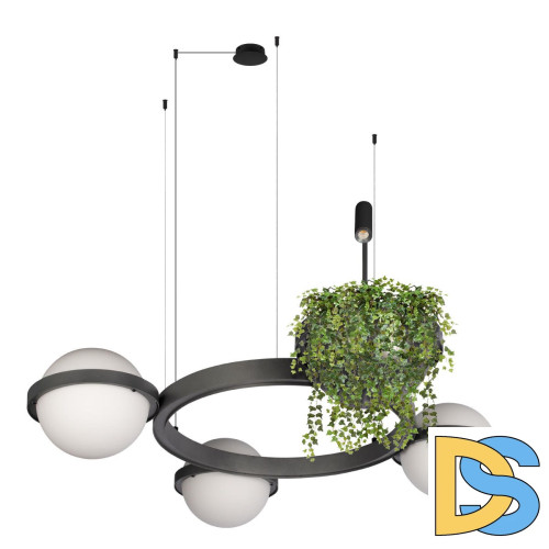 Подвесная люстра Loft IT Jardin 10121/3 Dark grey