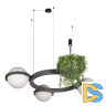 Подвесная люстра Loft IT Jardin 10121/3 Dark grey