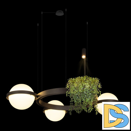 Подвесная люстра Loft IT Jardin 10121/3 Dark grey