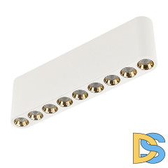 Накладной светильник Odeon Light Small 7091/21CL