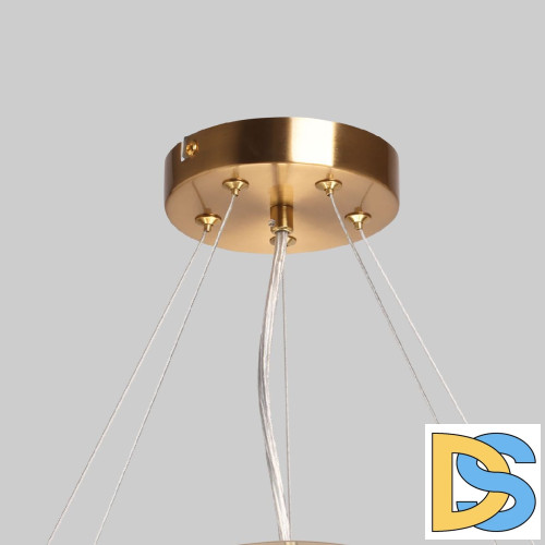 Подвесная люстра MW-Light Илоника 451013006