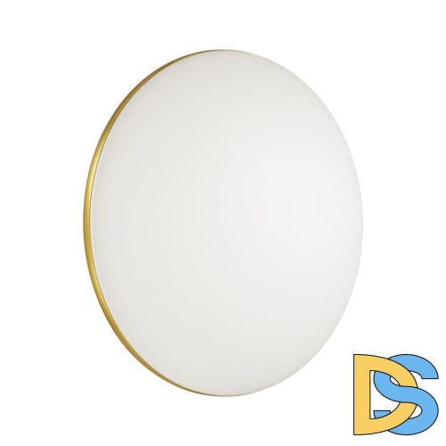 Настенно-потолочный светильник Sonex Lassa 3043/DL