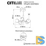 Люстра на штанге Citilux Tonga CL212153