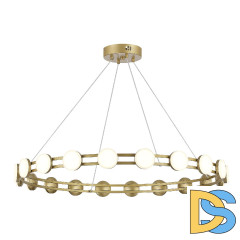 Подвесная люстра ST Luce Monro SL6610.203.20