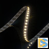 Светодиодная лента SWG SWG2P120-CC-24-9.6-NW 013429