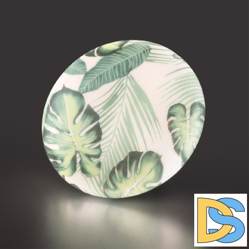 Потолочный светильник Sonex Pale Flori 7748/CL