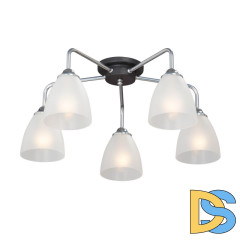 Потолочная люстра Vitaluce V4500-9/5PL