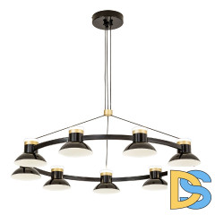 Подвесная люстра Favourite Tatti 4516-9P