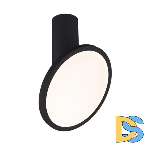 Накладной светильник Elektrostandard DLS029 12W 4200K черный матовый