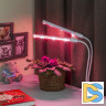 Светильник для растений на прищепке ЭРА FITO-20W-АLED-L Б0049550