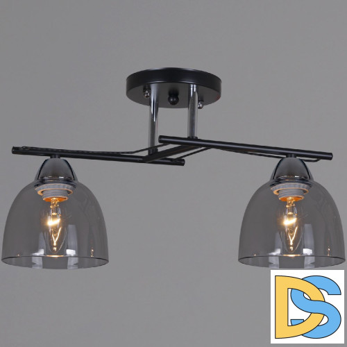 Потолочный светильник Reluce 06098-0.3-02 BK+CR