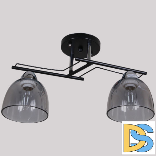 Потолочный светильник Reluce 06098-0.3-02 BK+CR