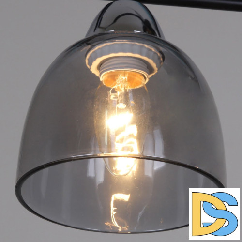 Потолочный светильник Reluce 06098-0.3-02 BK+CR