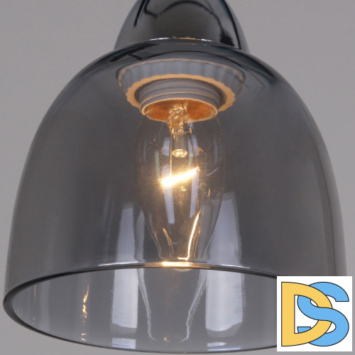 Потолочный светильник Reluce 06098-0.3-02 BK+CR