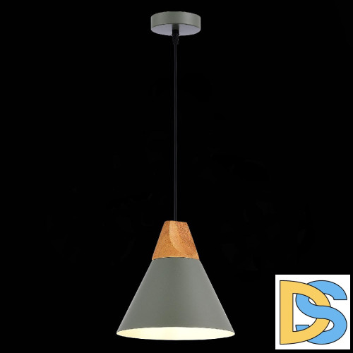Подвесной светильник Evoluce Modica SLE125113-01