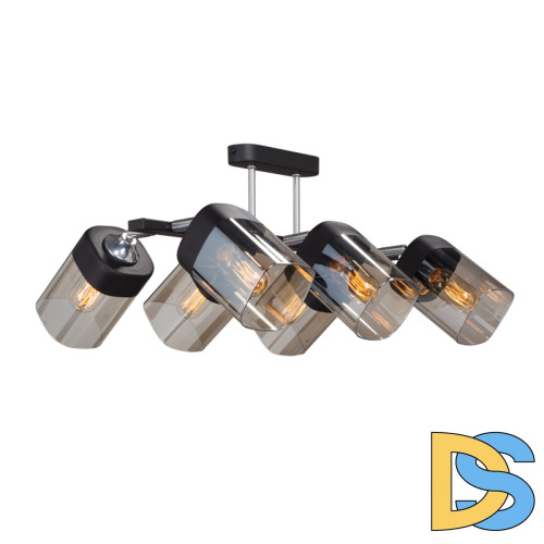 Потолочная люстра Vitaluce V4895-1/6PL