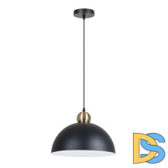 Подвесной светильник Arte Lamp Recinto A7053SP-1BK