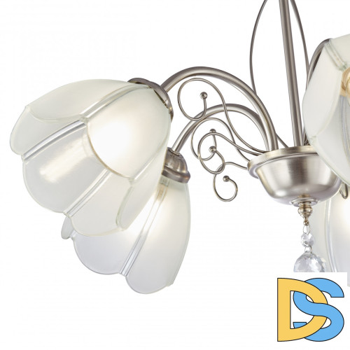 Подвесная люстра Arte Milano Amalfi 332656/5 SN