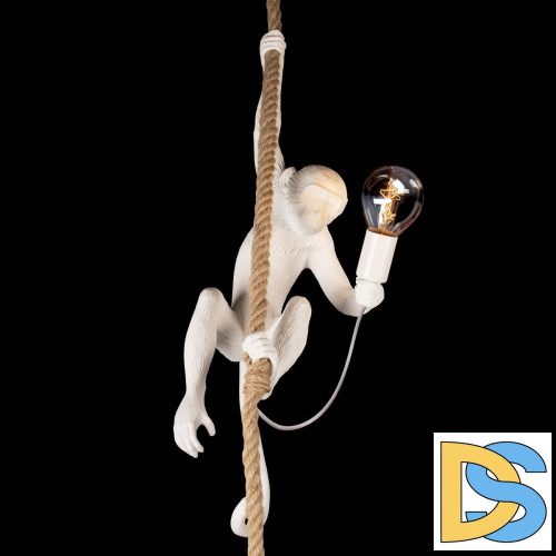 Подвесной светильник Loft IT Monkey 10314P