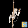 Подвесной светильник Loft IT Monkey 10314P