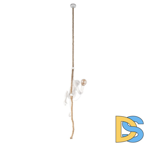 Подвесной светильник Loft IT Monkey 10314P