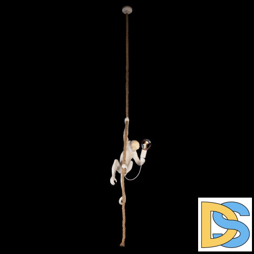 Подвесной светильник Loft IT Monkey 10314P