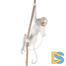 Подвесной светильник Loft IT Monkey 10314P