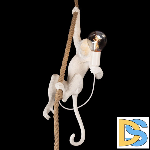 Подвесной светильник Loft IT Monkey 10314P