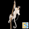 Подвесной светильник Loft IT Monkey 10314P