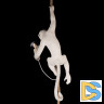 Подвесной светильник Loft IT Monkey 10314P
