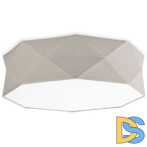 Потолочный светильник TK Lighting 6195 Kantoor Nature a059803