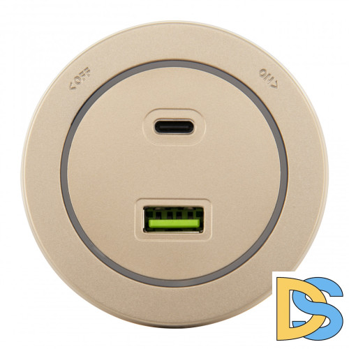 Трековая розетка Arte Milano Am-track-sockets-39 399731TS/USB-Type-C Gold