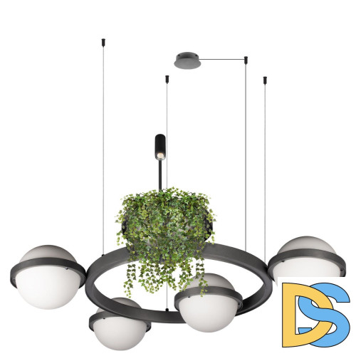 Подвесная люстра Loft IT Jardin 10121/4 Dark grey
