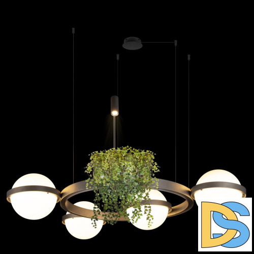 Подвесная люстра Loft IT Jardin 10121/4 Dark grey