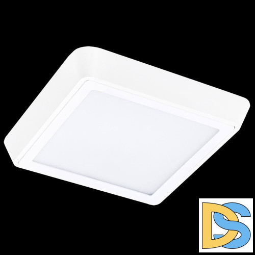 Уличный светильник Lightstar 216802