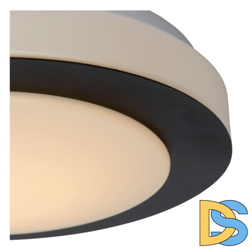 Потолочный светильник Lucide Dimy 79179/12/30