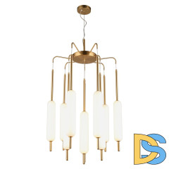 Подвесной светильник APLOYT Carla APL.010.03.80