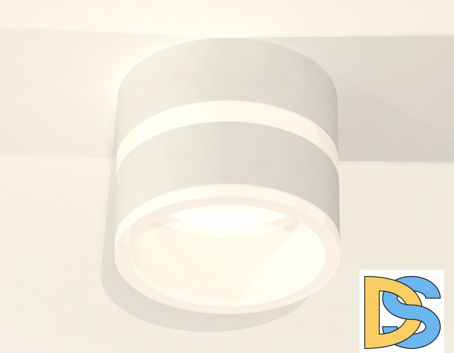 Потолочный светильник Ambrella Light Techno Spot XS8101019 (C8101, N8444)