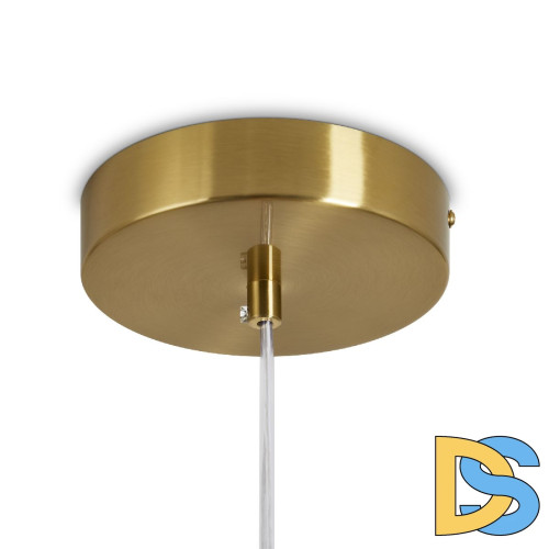 Подвесной светильник Freya Sabi FR6131PL-L13BS